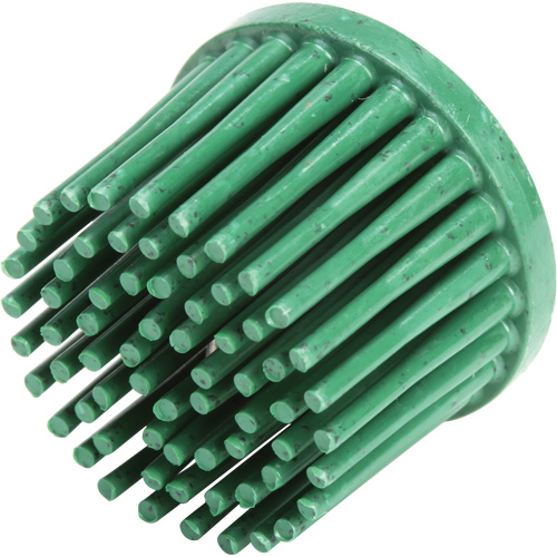 Roloc Bristle Discs, Ceramic, 50 Grit, 1" Dia. Haskins Industrial Inc.