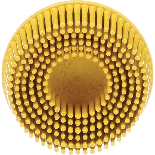 Scotch-Brite Roloc Bristle Discs, 80 Grit, 2" Dia. Haskins Industrial Inc.