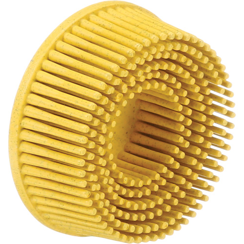 Scotch-Brite Roloc Bristle Discs, 80 Grit, 2" Dia. Haskins Industrial Inc.