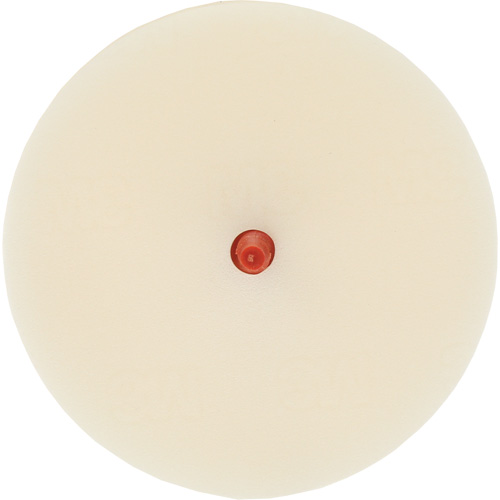 Scotch-Brite Moulding Adhesive & Stripe Removal Disc, 7501, 4" Dia. Haskins Industrial Inc.