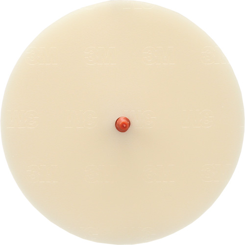 Scotch-Brite Moulding Adhesive and Stripe Removal Disc 7502, 6" Dia. Haskins Industrial Inc.