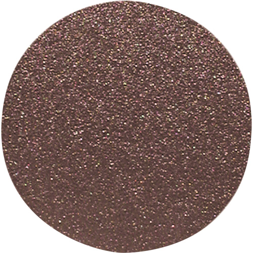 Disque de ponçage pour le bois, 12" dia., Grain 120 Haskins Industrial Inc.