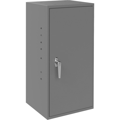 Utility Cabinet, Steel, 2 Shelves, 30" H x 13-3/4" W x 12-3/4" D, Grey Haskins Industrial Inc.
