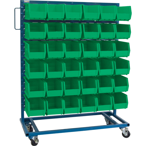 Single-Sided Mobile Bin Rack, Single-sided, 36 bins, 36" W x 16" D x 46-1/2" H Haskins Industrial Inc.