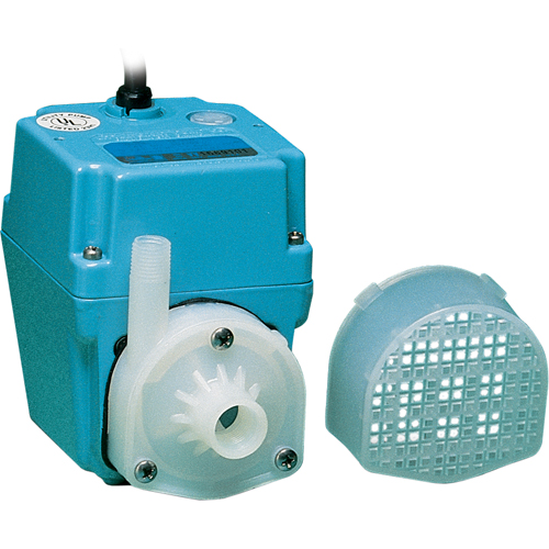 Pompes &agrave; double usage, 1/40 CV, 300 gal./h, 115 V, 1,7 A Haskins Industrial Inc.