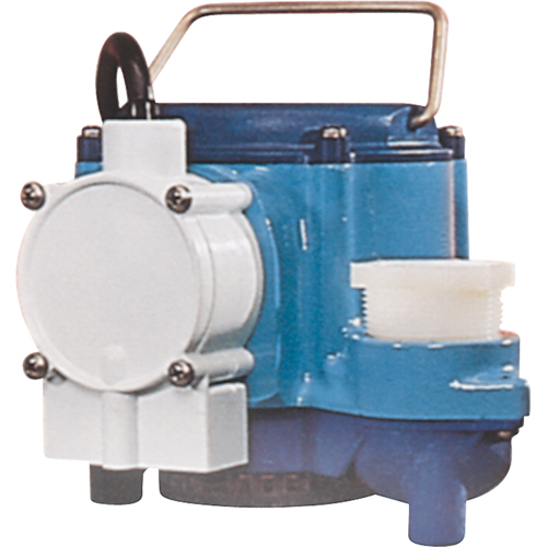 Pompes submersibles, 1/3 CV, 46 gal./h, 115 V, 9 A Haskins Industrial Inc.