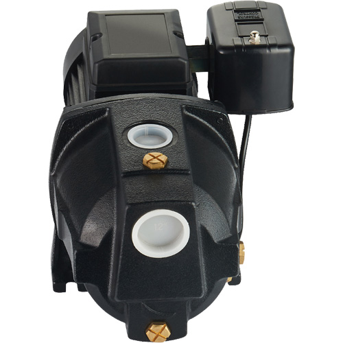 Pompe &agrave; jet en fonte &agrave; double tension pour puit peu profond, 115 V/230 V, 1100 gal./h, 1 CV Haskins Industrial Inc.