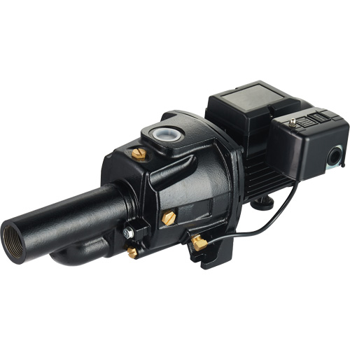Pompe &agrave; jet en fonte &agrave; double tension transformable, 115 V/230 V, 1400 gal./h, 3/4 CV Haskins Industrial Inc.
