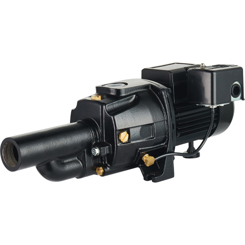 Pompe &agrave; jet en fonte &agrave; double tension transformable, 115 V/230 V, 1400 gal./h, 3/4 CV Haskins Industrial Inc.