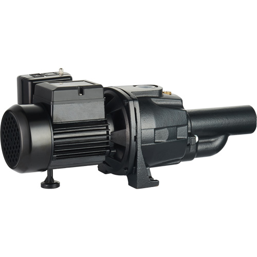 Pompe &agrave; jet en fonte &agrave; double tension transformable, 115 V/230 V, 1400 gal./h, 3/4 CV Haskins Industrial Inc.