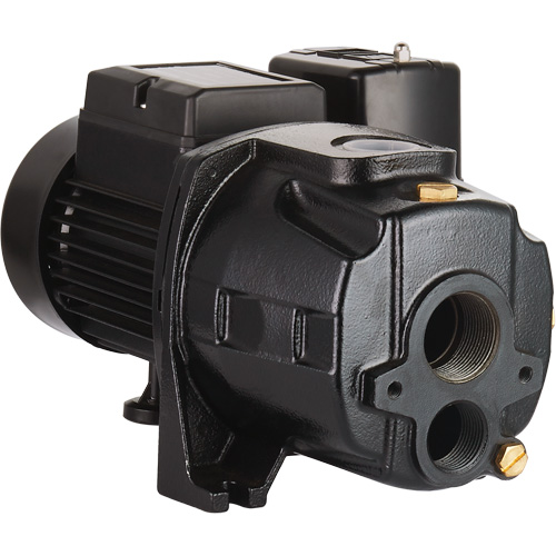 Pompe &agrave; jet en fonte &agrave; double tension transformable, 115 V/230 V, 1400 gal./h, 3/4 CV Haskins Industrial Inc.