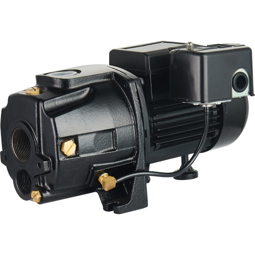 Pompe &agrave; jet en fonte &agrave; double tension transformable, 115 V/230 V, 1400 gal./h, 3/4 CV Haskins Industrial Inc.