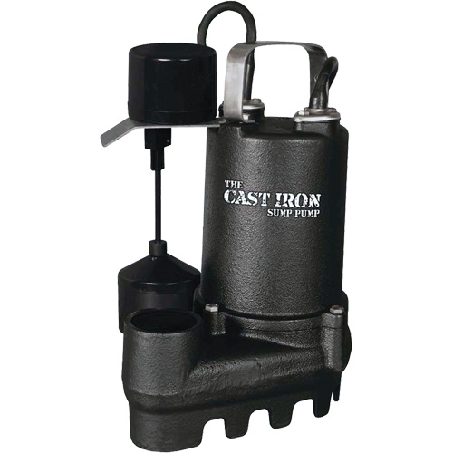 Pompe de puisard submersible en fonte avec interrupteur &agrave; flotteur vertical, 67 gal./min, 33 V, 5 A, 1/3 CV Haskins Industrial Inc.