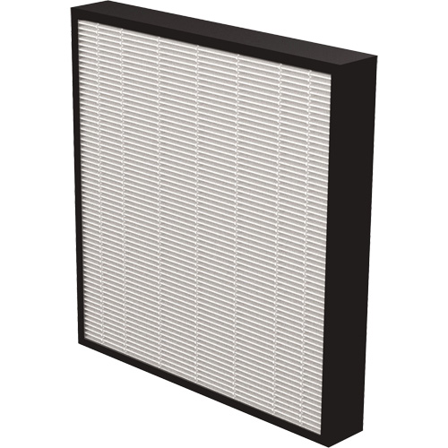 AeraMax&reg; Pro AM3 & AM4 2" True HEPA Filter, Box, 13.75" W x 2.25" D x 14.38" H Haskins Industrial Inc.