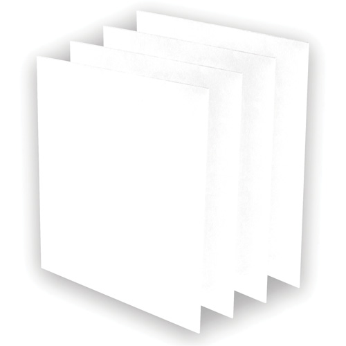 AeraMax&reg; Pro AM3 or AM4 Pre-Filters, 13.75" W x 0.13" D x 14.38" H Haskins Industrial Inc.