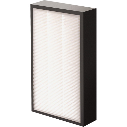 AeraMax&reg; Pro AM2 1-3/4" True HEPA Filter, Box, 7.38" W x 1.88" D x 12.88" H Haskins Industrial Inc.