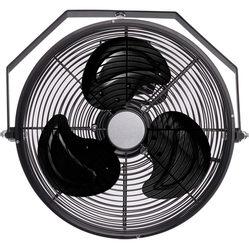 Industrial Workstation Fan, Industrial, 12" Dia., 3 Speeds Haskins Industrial Inc.