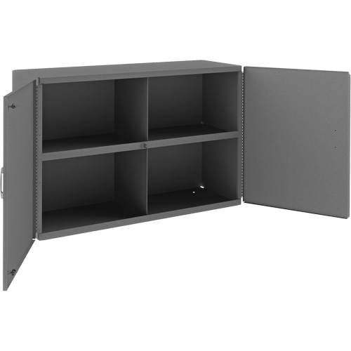 Wall-Mountable Cabinet, 24" H x 33-13/16" W x 12-3/8" D, 1 Shelves, Steel, Grey Haskins Industrial Inc.