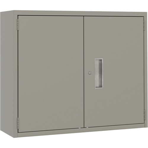 Armoire murale, Acier, 2 Tablettes, 30" h x 36" la x 12" P, Gris Haskins Industrial Inc.