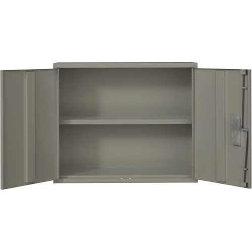 Armoire murale, Acier, 2 Tablettes, 30" h x 36" la x 12" P, Gris Haskins Industrial Inc.