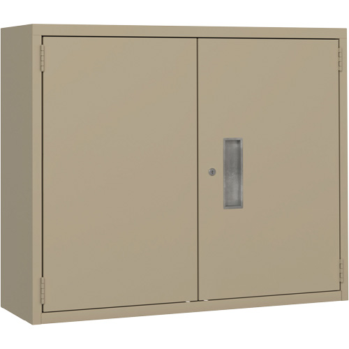 Armoire murale, Acier, 2 Tablettes, 30" h x 36" la x 12" P, Beige Haskins Industrial Inc.