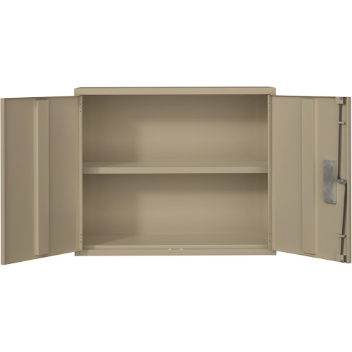 Armoire murale, Acier, 2 Tablettes, 30" h x 36" la x 12" P, Beige Haskins Industrial Inc.
