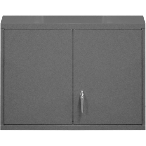 Wall-Mounted Cabinet, 27" H x 29-7/8" W x 13-11/16" D, 2 Shelves, Steel, Grey Haskins Industrial Inc.