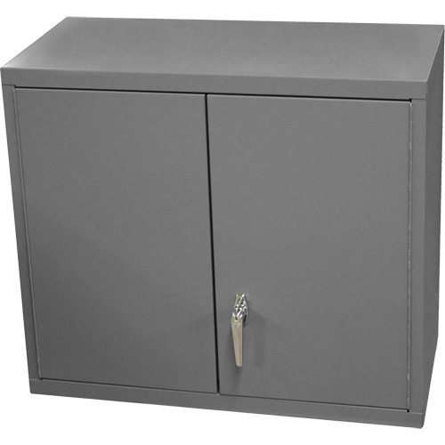 Armoire murale, 27" h x 13-11/16" la x 35-7/8" p, 2 tablettes, Acier, Gris Haskins Industrial Inc.