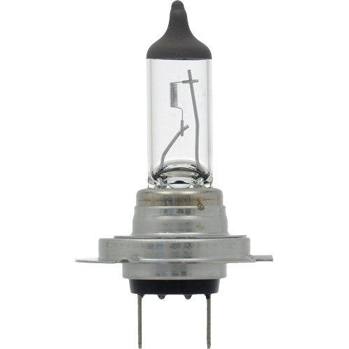 Ampoule automobile &agrave; longue dur&eacute;e de vie H7, Halog&egrave;ne, 55 W/60 W, Blanc Haskins Industrial Inc.