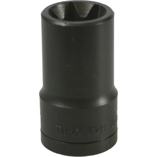 E-20 Torx&reg; Socket Haskins Industrial Inc.