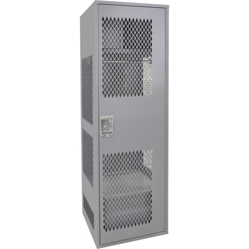 Gear Locker with Door, Steel, 24" W x 24" D x 72" H, Grey Haskins Industrial Inc.