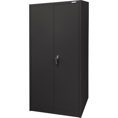 Armoire d'entreposage, Acier, 4 Tablettes, 66" h x 30" la x 15" P, Noir Haskins Industrial Inc.
