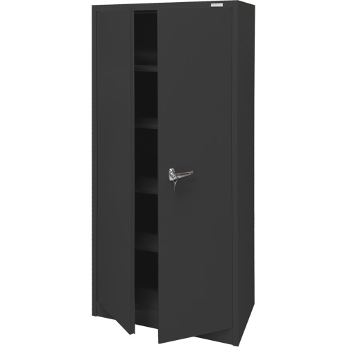 Armoire d'entreposage, Acier, 4 Tablettes, 66" h x 30" la x 15" P, Noir Haskins Industrial Inc.