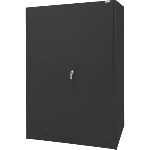 Storage Cabinet, Steel, 4 Shelves, 78" H x 48" W x 24" D, Black Haskins Industrial Inc.