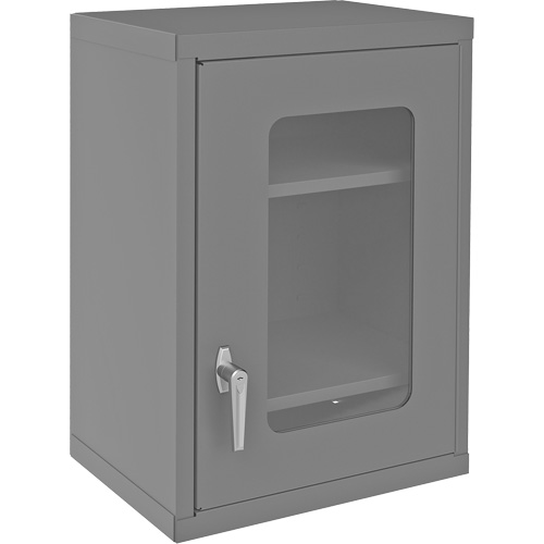 Armoire de rangement murale avec portes transparentes, 26-15/16" h x 18-1/8" la x 13-11/16" p, 2 tablettes, Acier, Gris Haskins Industrial Inc.