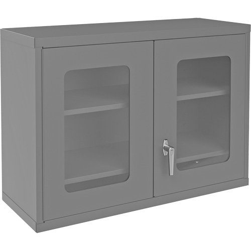 Armoire de rangement murale avec portes transparentes, 26-15/16" h x 35-7/8" la x 13-11/16" p, 2 tablettes, Acier, Gris Haskins Industrial Inc.