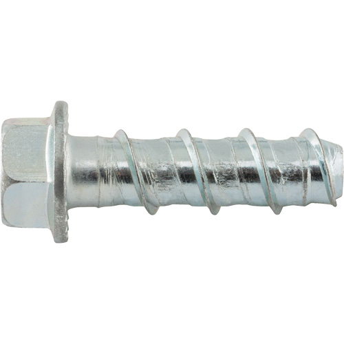 Wedge Bolts, Carbon Steel, 1/2" x 2" Haskins Industrial Inc.