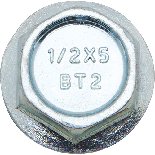 Wedge Bolts, Carbon Steel, 1/2" x 2" Haskins Industrial Inc.