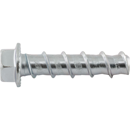 Wedge Bolts, Carbon Steel, 1/2" x 2-1/2" Haskins Industrial Inc.