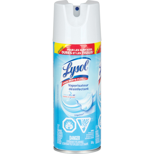 Disinfectant Spray, 350 g, Aerosol Can Haskins Industrial Inc.
