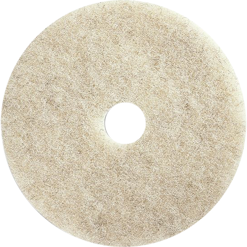 Tampons pour l'entretien des planchers, 24", Brunissage, Brun Haskins Industrial Inc.