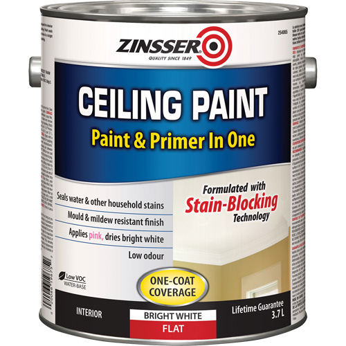 Ceiling Paint & Primer in One, White, Very Flat, 3.78 L, Gallon Haskins Industrial Inc.