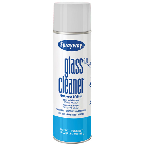 Glass Cleaner, 20 oz., Aerosol Can Haskins Industrial Inc.