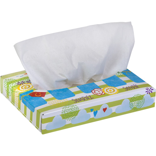 Papiers-mouchoirs pour enfants de Kleenex, 2 pli, 8,4" lo x 5,5" la, 40 feuilles/boîte Haskins Industrial Inc.