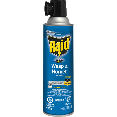 Insecticide contre les gu&ecirc;pes et les frelons Raid, 400 g, &agrave; base de solvant Haskins Industrial Inc.