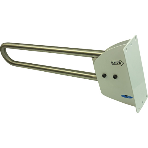 Swing-Up Safety Rail Haskins Industrial Inc.