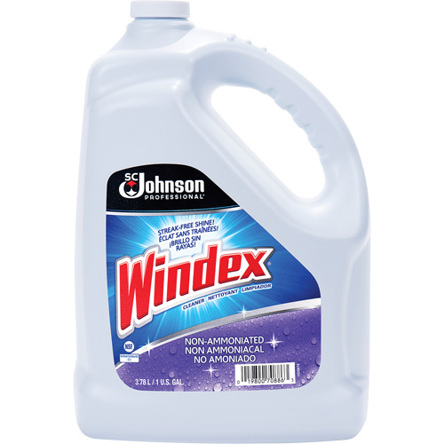 Windex&reg; Non-Ammoniated Multi-Surface Cleaner, 3.8 L, Jug Haskins Industrial Inc.
