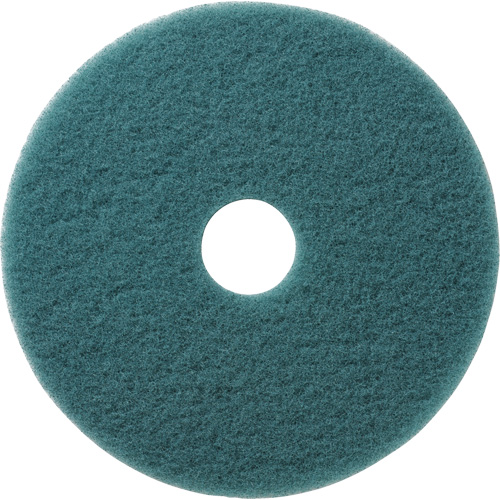 Tampons &agrave; polir pour planchers Aqua, 19", Brunissage, Aqua Haskins Industrial Inc.