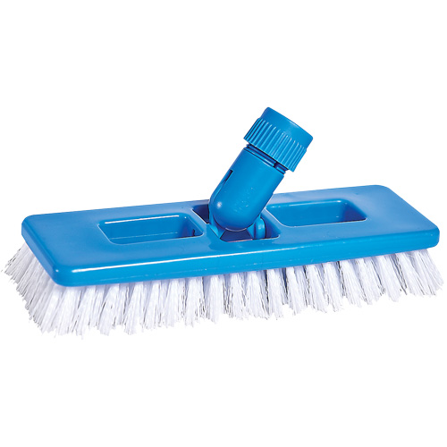 Universal Scrub & Grout Brush, 9" L, Polypropylene Bristles, White Haskins Industrial Inc.