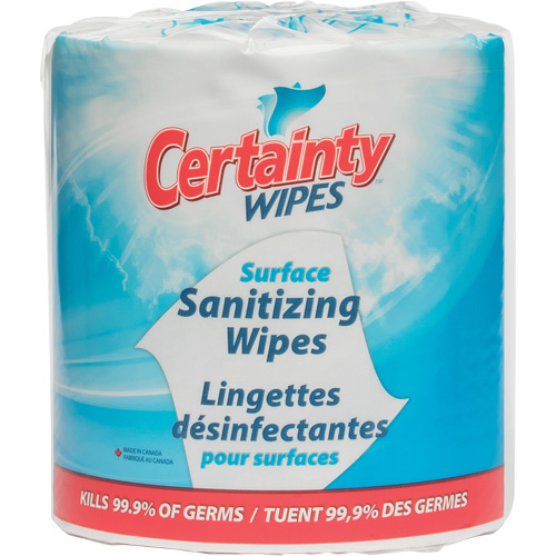 Lingettes d&eacute;sinfectantes pour surfaces, Pochette Haskins Industrial Inc.
